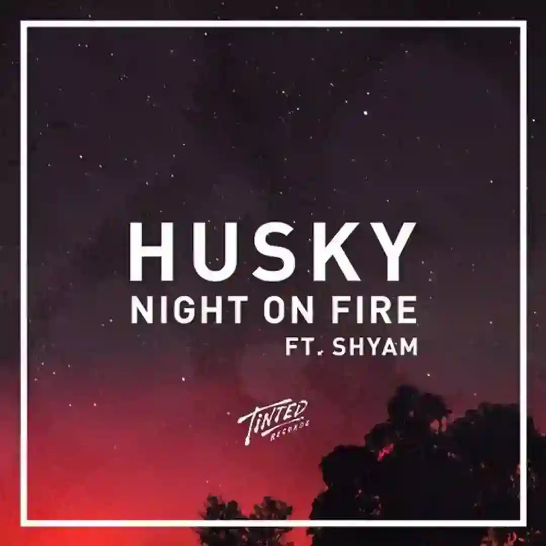 Night on Fire Feat. Shyam P (Original Mix) cover