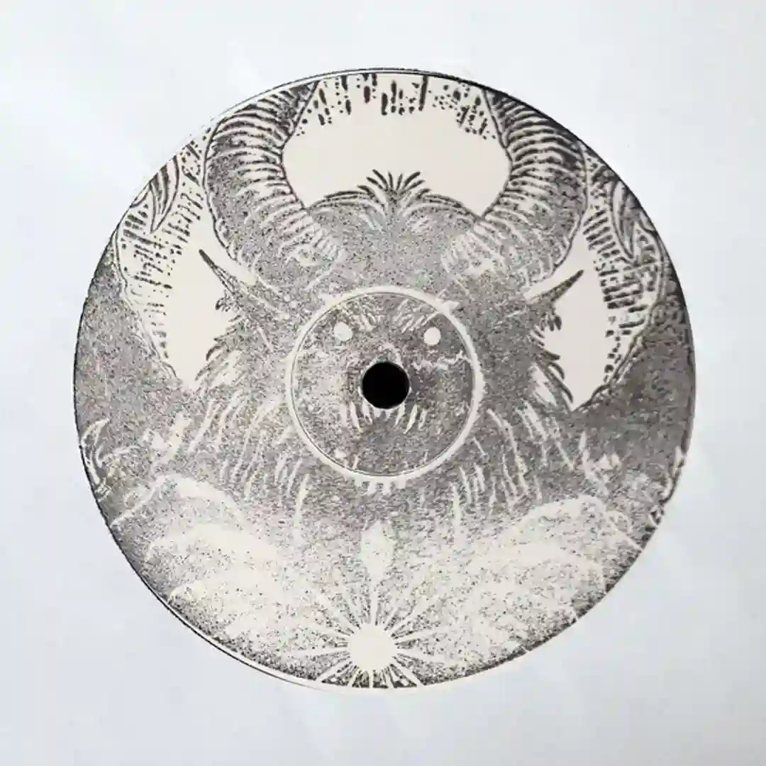 Warrior Stompers cover