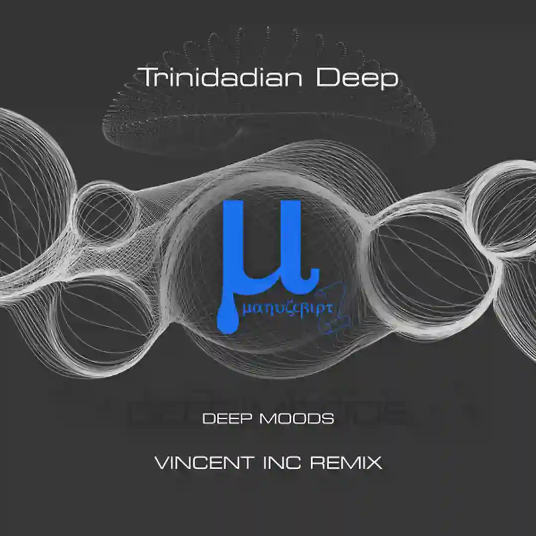 Deep moods (Vincent Inc remix) cover
