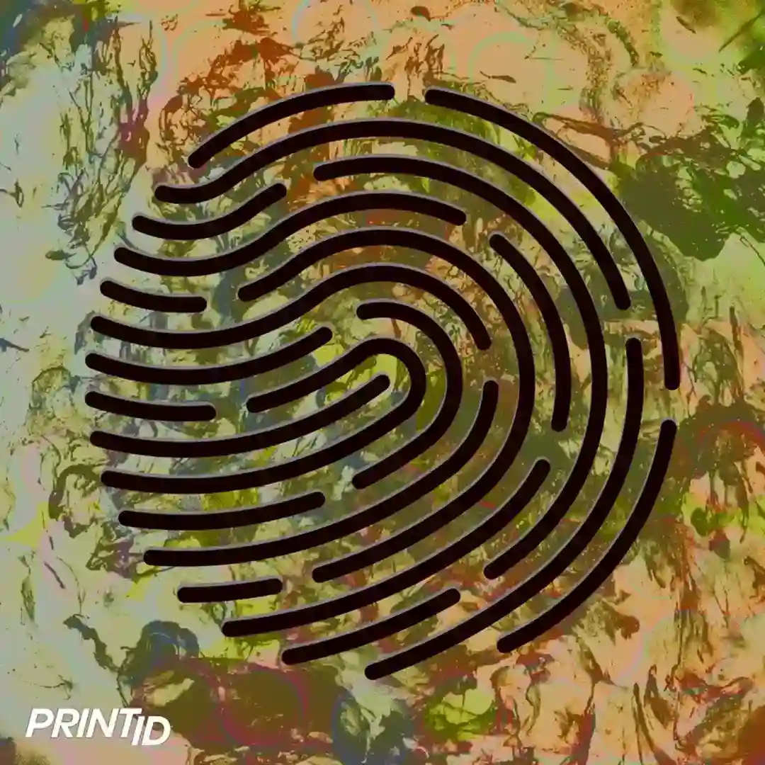 Ain't Da Bomb (ID ID Remix) cover
