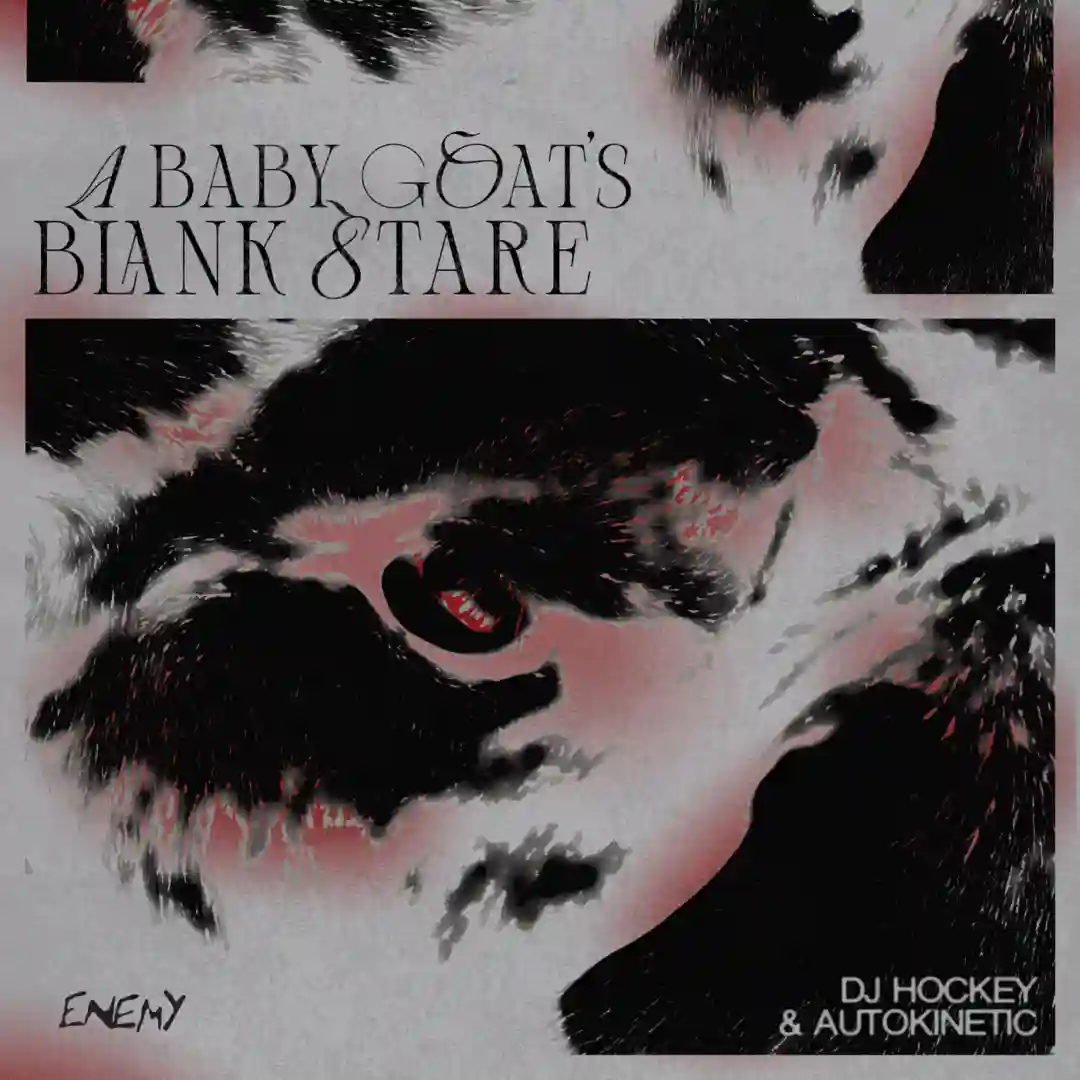 A Baby Goat's Blank Stare feat. Autokinetic (Original Mix) cover