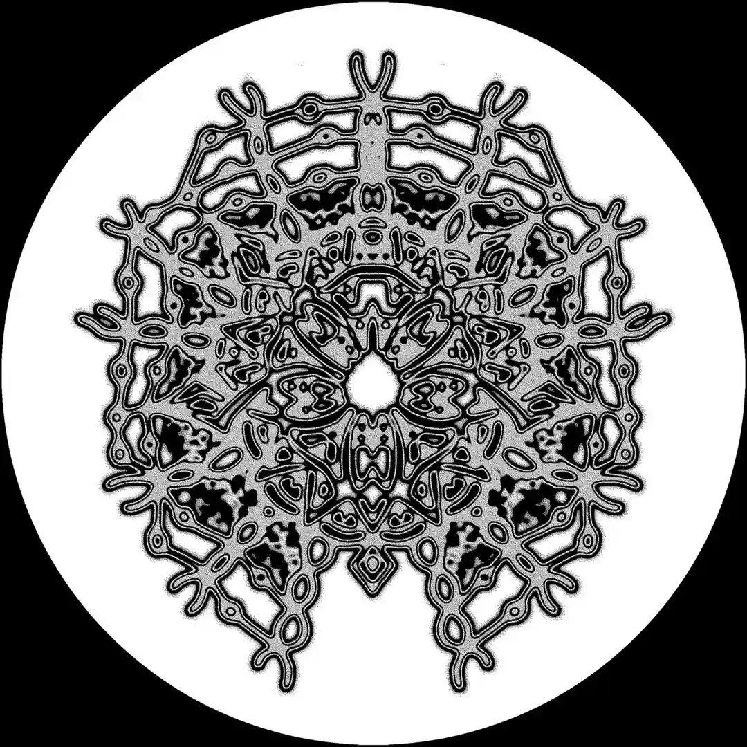 The Chaser cover