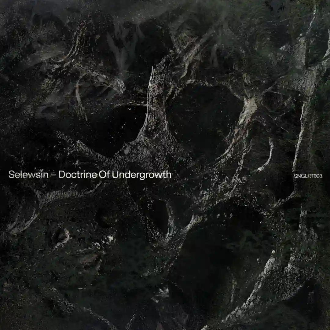 Varactyl (Original Mix) cover