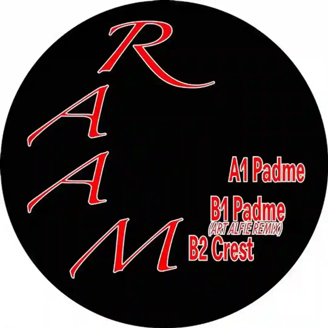 Padme (Art Alfie Remix) cover