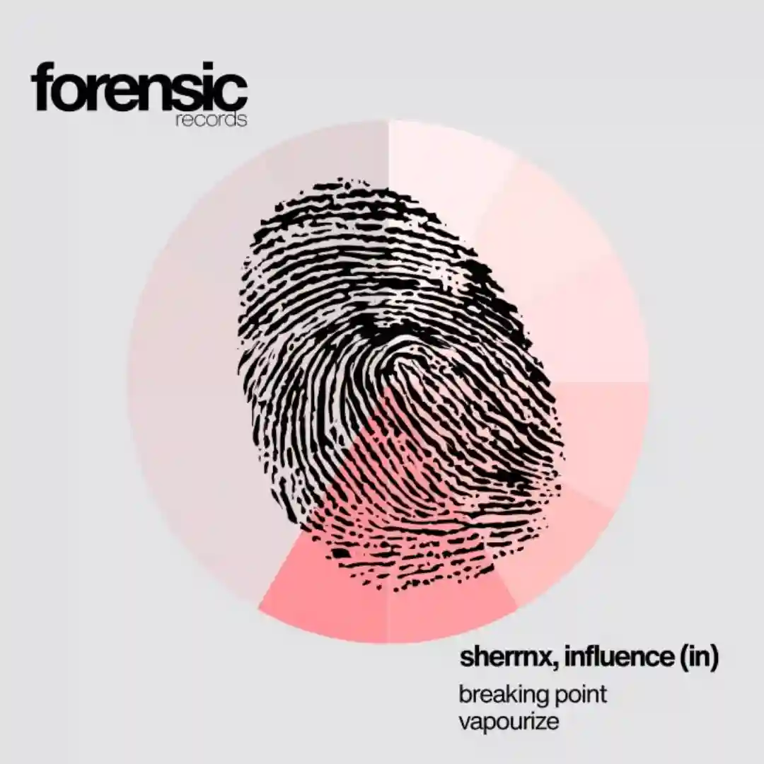 Breaking Point (Original Mix) cover