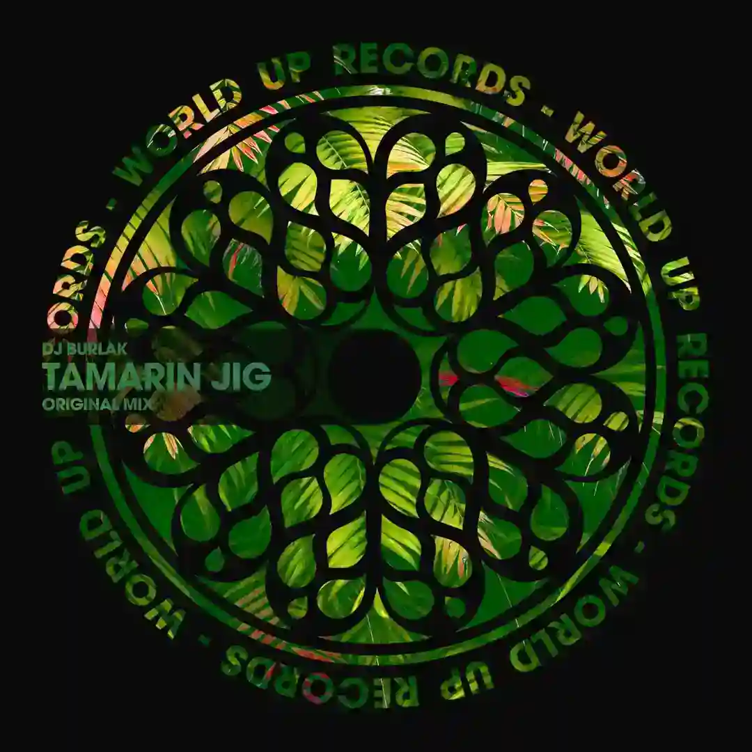 Tamarin Jig (Original Mix) cover