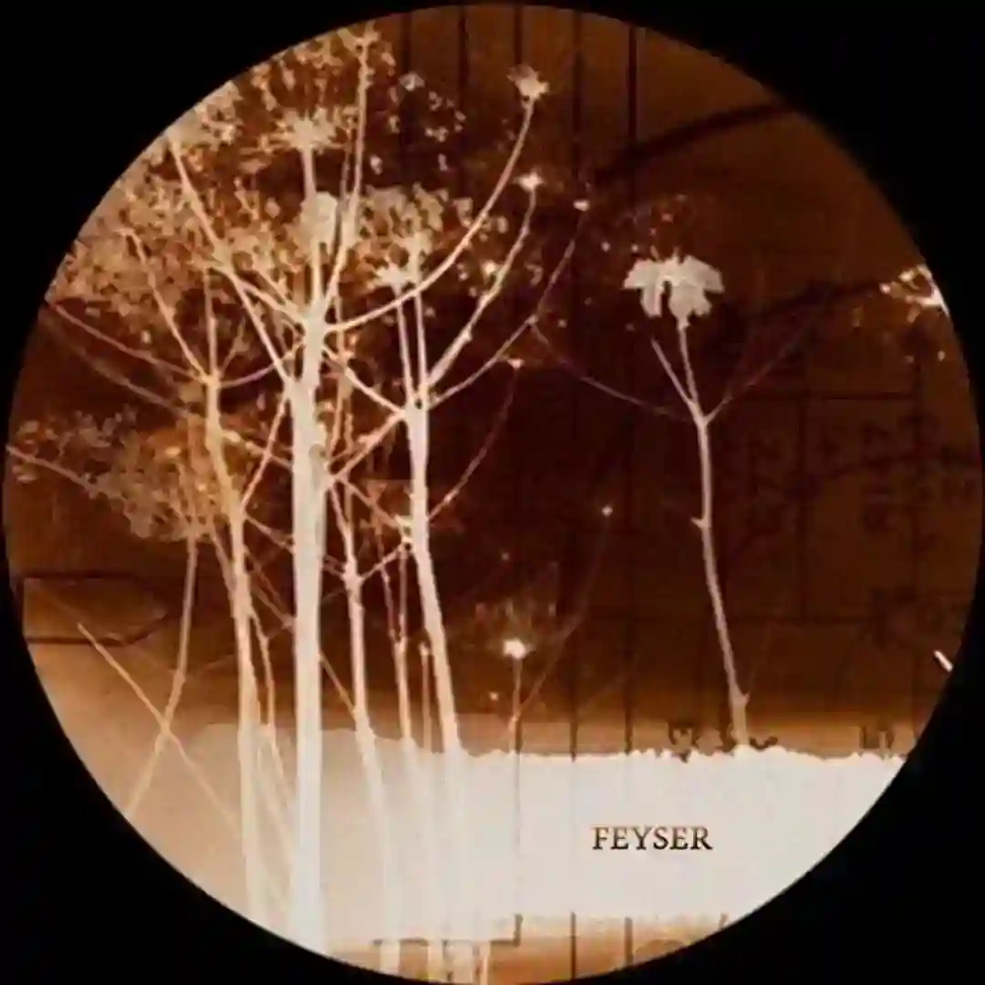 Night Fire cover