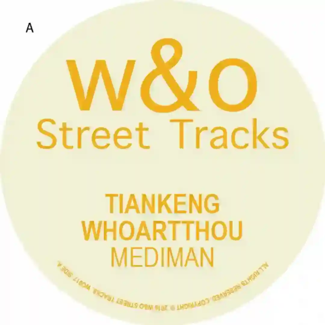 Tiankeng (Original Mix) cover