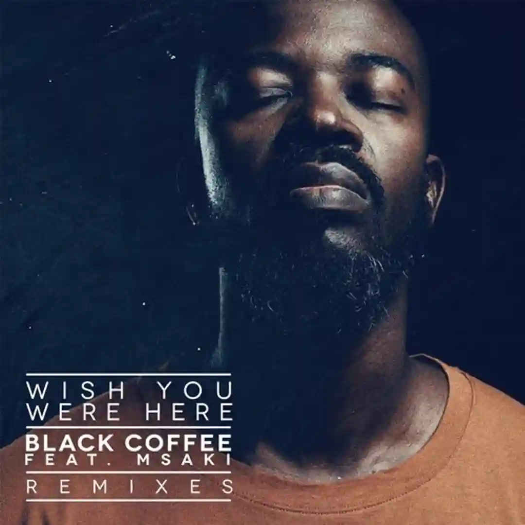 Wish You Were Here feat. Msaki (Damian Lazarus Reshape) cover
