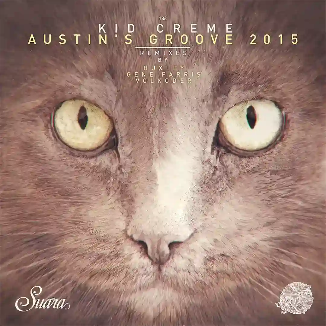 Austin's Groove (2015 Mix) cover