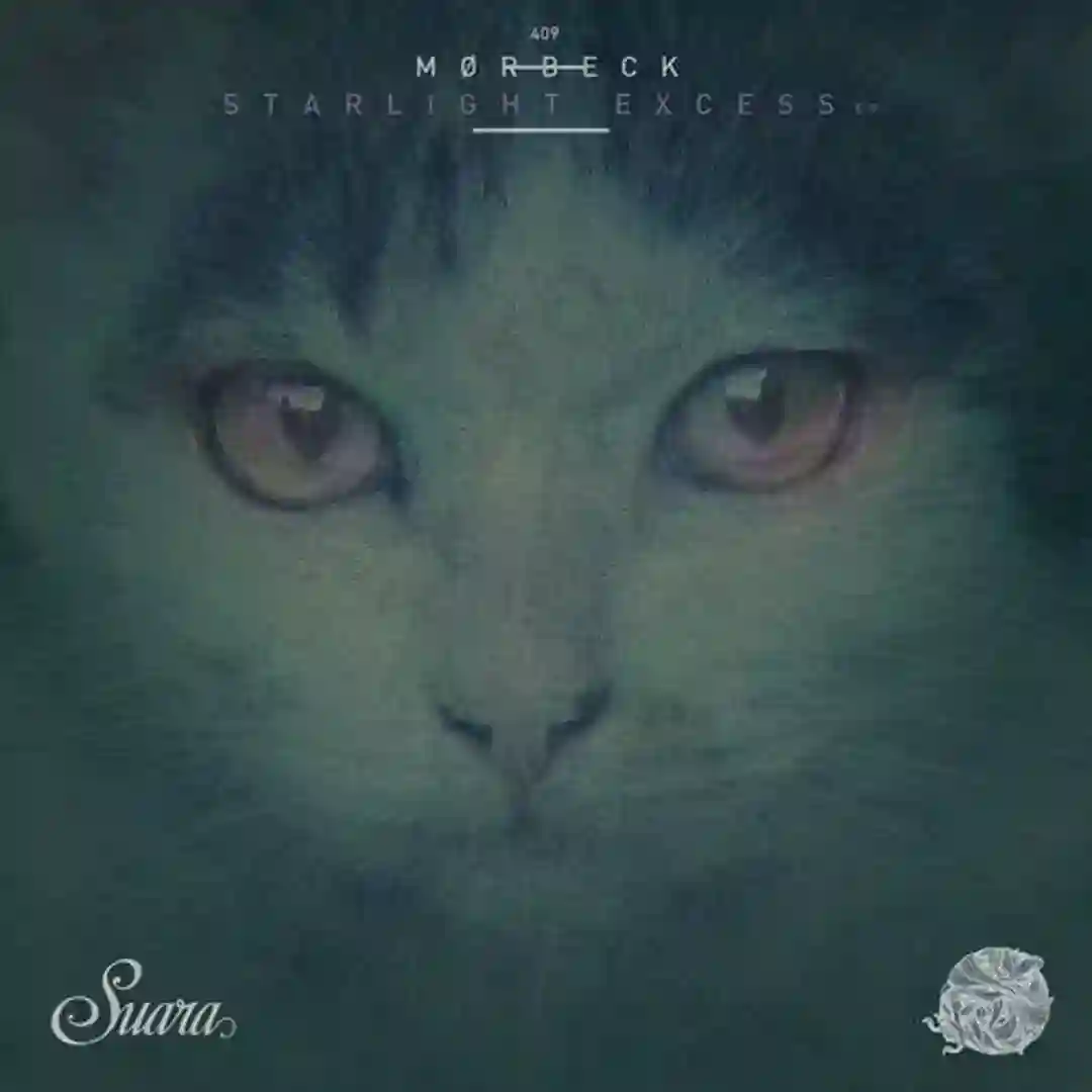 Ceta Raisen (Original Mix) cover