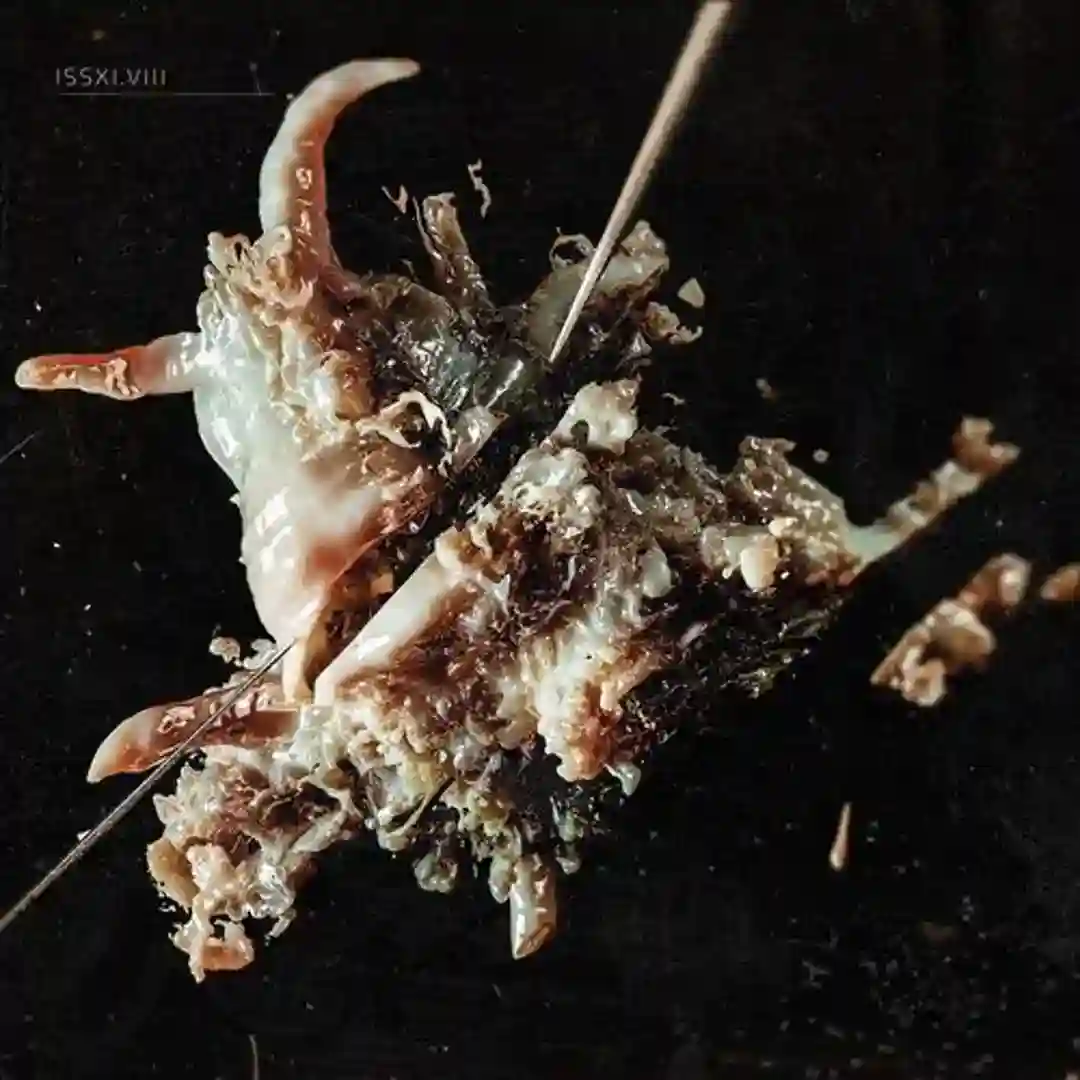 Frammenti cover