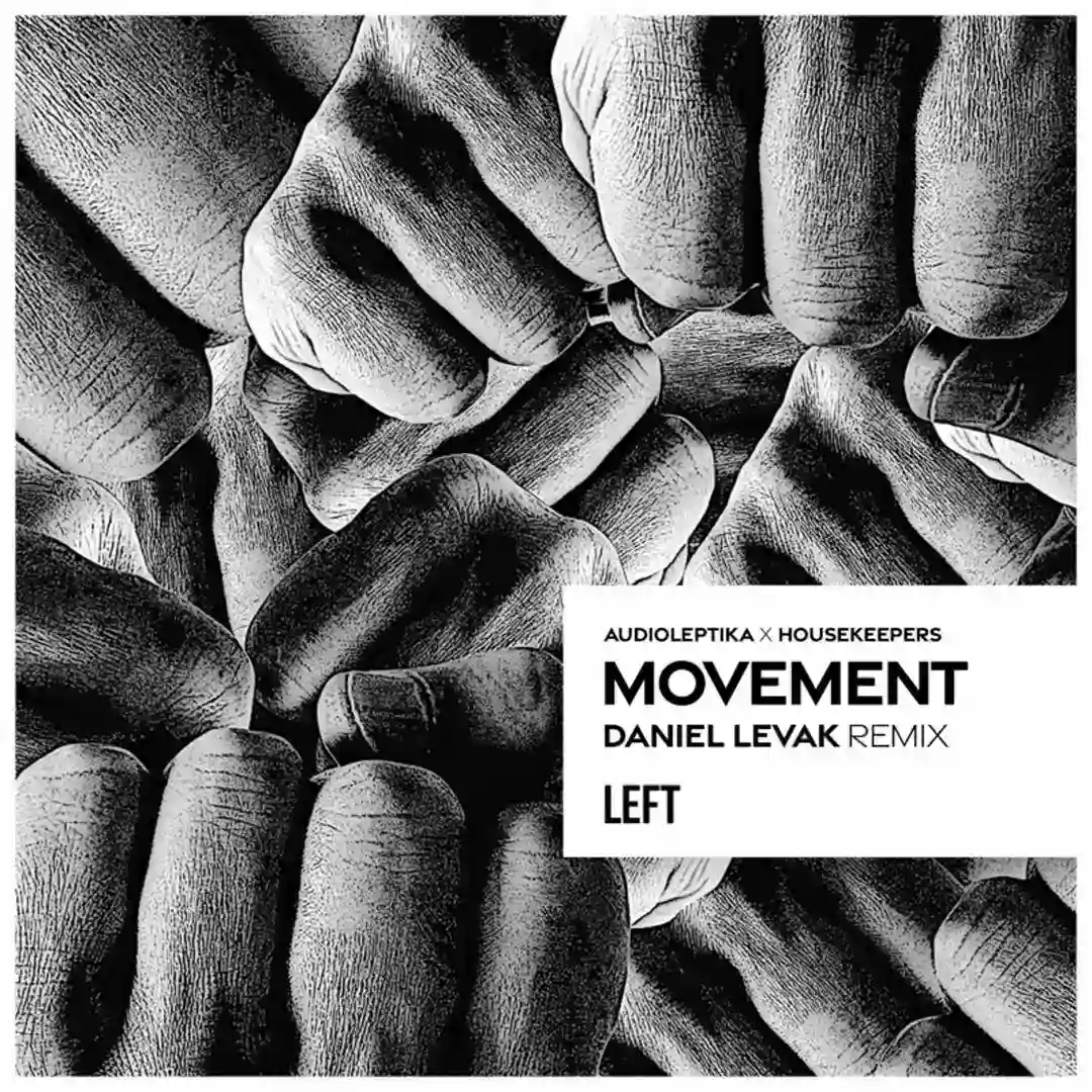 Movement (Daniel Levak Remix) cover