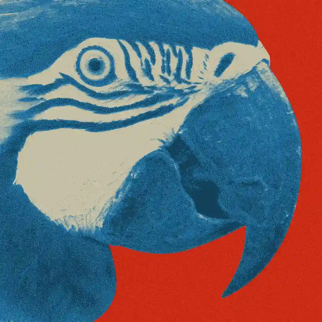 Balin Bali (Original Mix) cover
