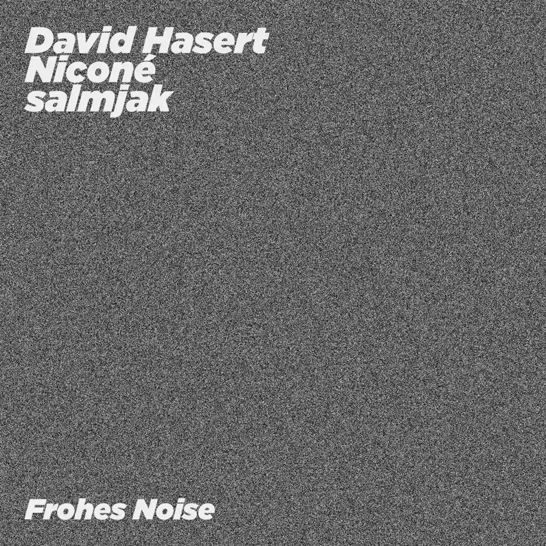 Frohes Noise cover