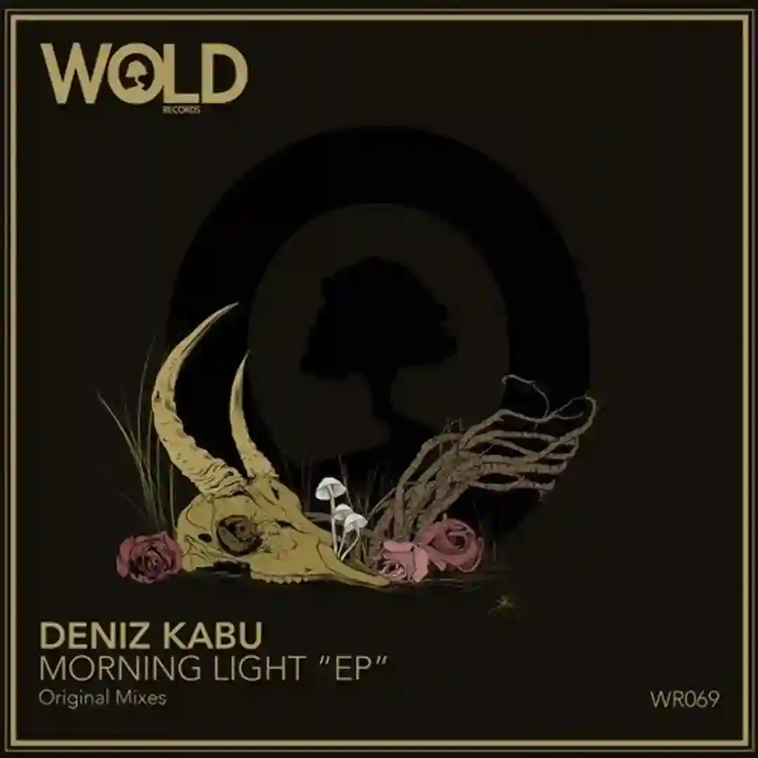 Morning Light "EP" cover