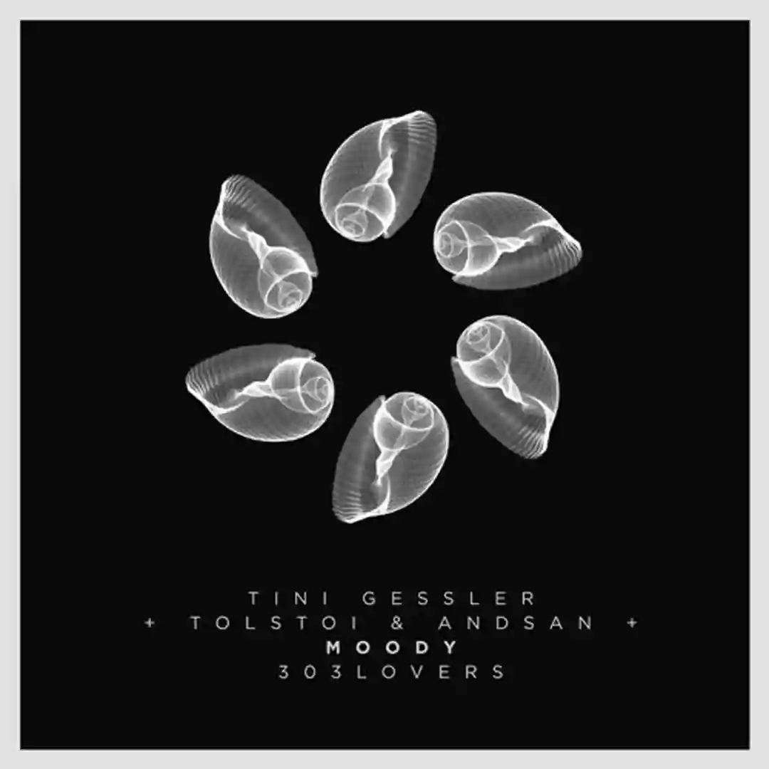 Moody (Tolstoi & Andsan Remix) cover