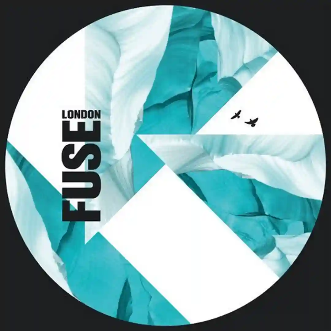Fizical (Original Mix) cover