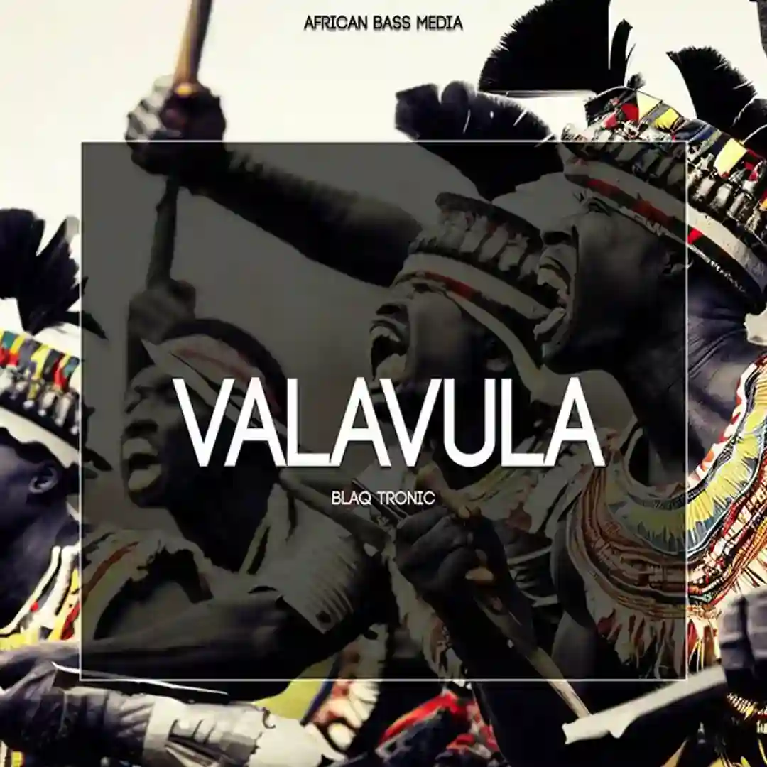 Valavula cover