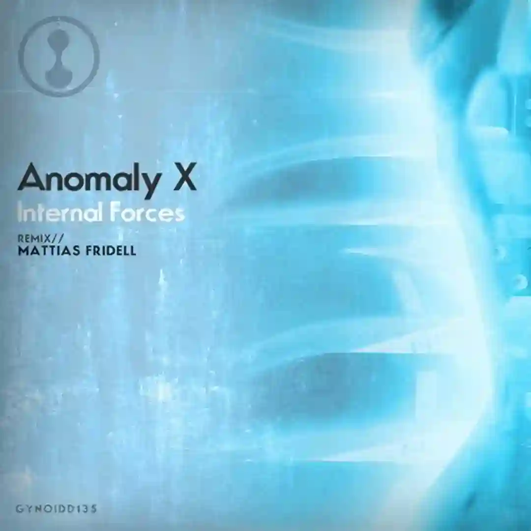 Internal Forces (Original Mix) cover