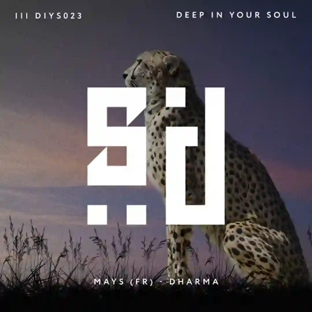 Dharma (Original Mix) cover