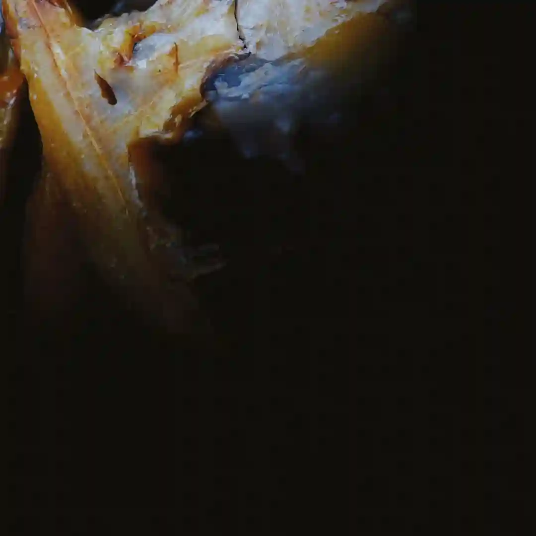 Embryo (Original Mix) cover