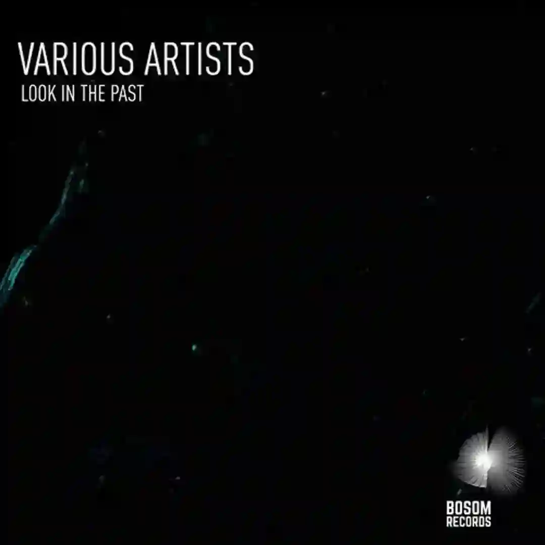 Look In The Past cover