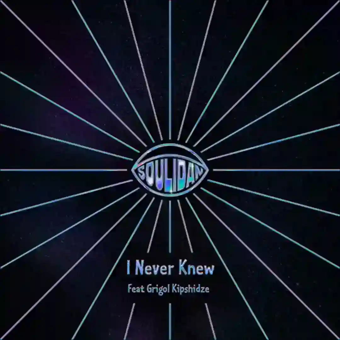I Never Knew (Original Mix) cover