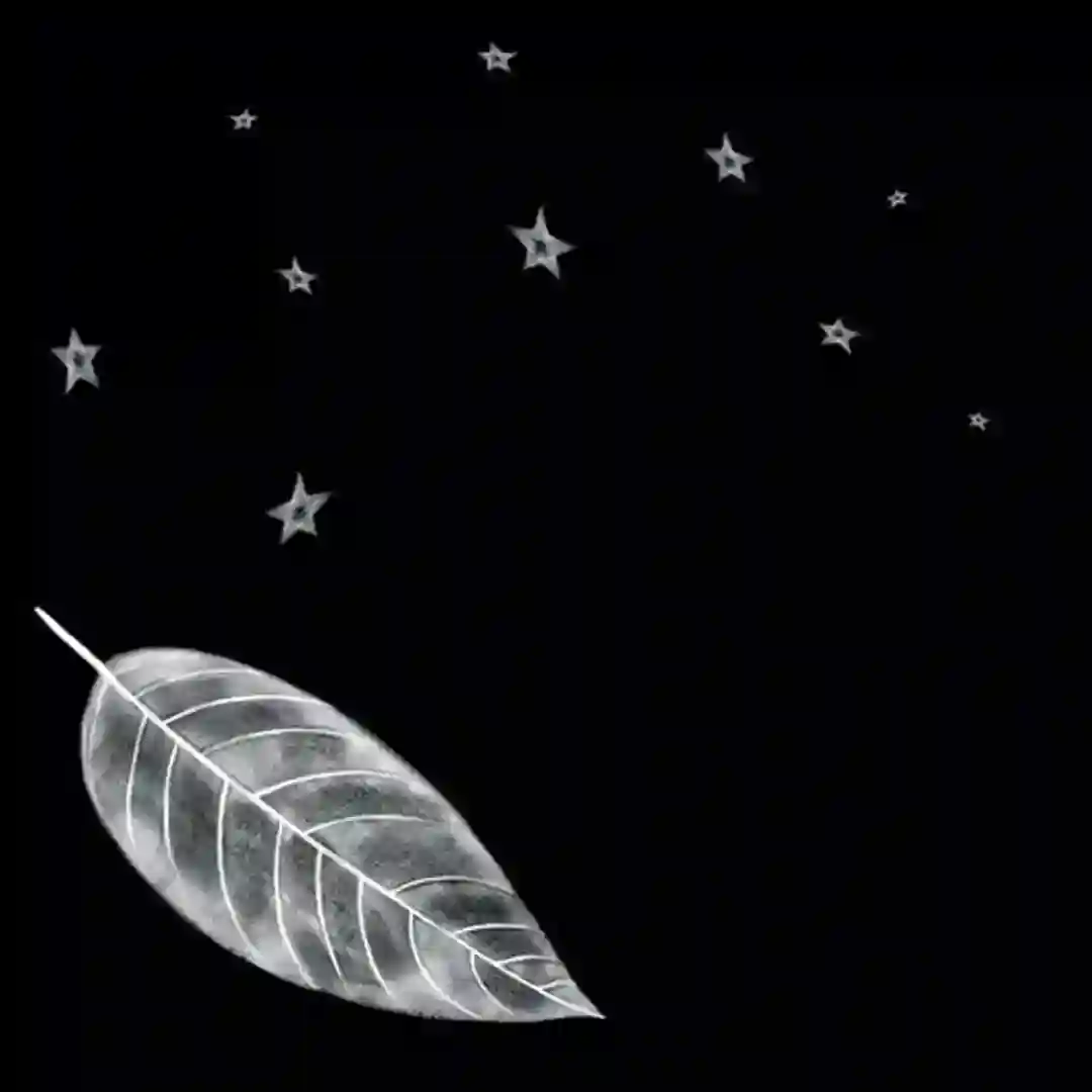 White Leaf (MoodyManc Remix) cover