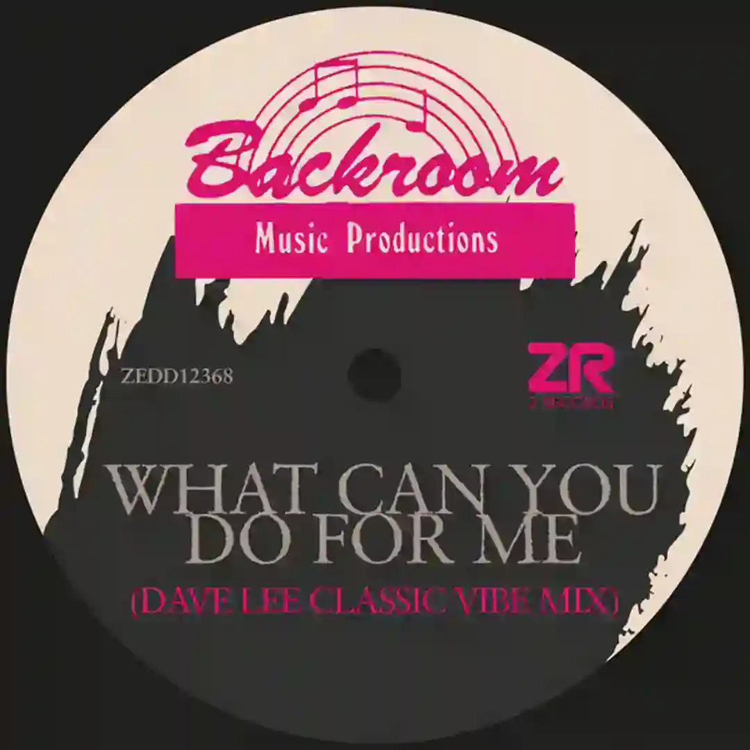 What Can You Do For Me (Dave Lee Classic Vibe Mix) cover