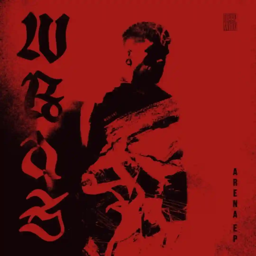 Swiper (Original Mix) cover