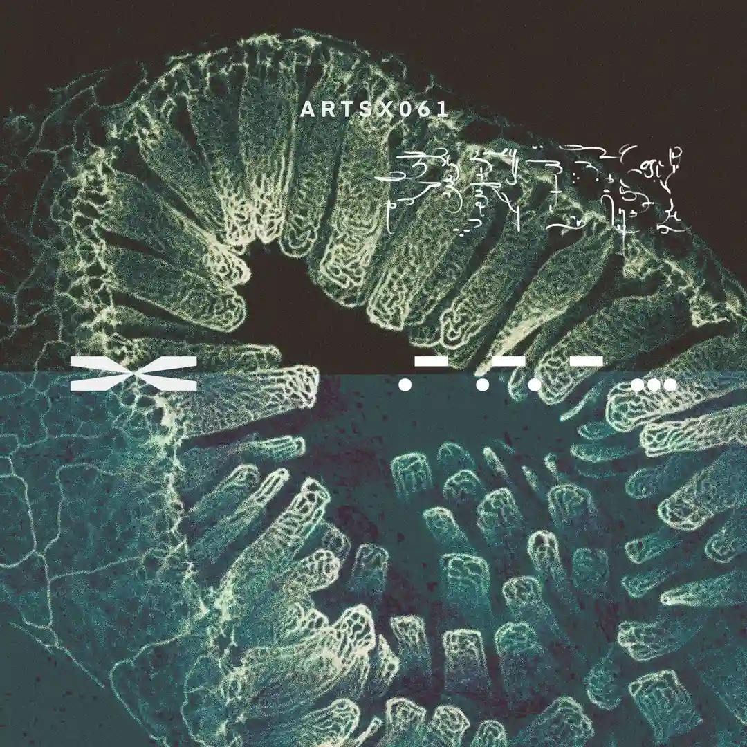 Bare Roots EP cover