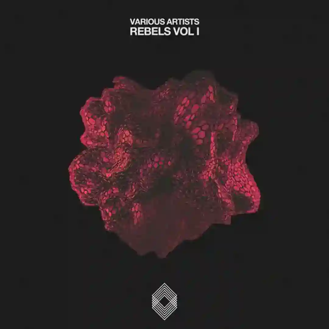 Rebels Vol. I cover