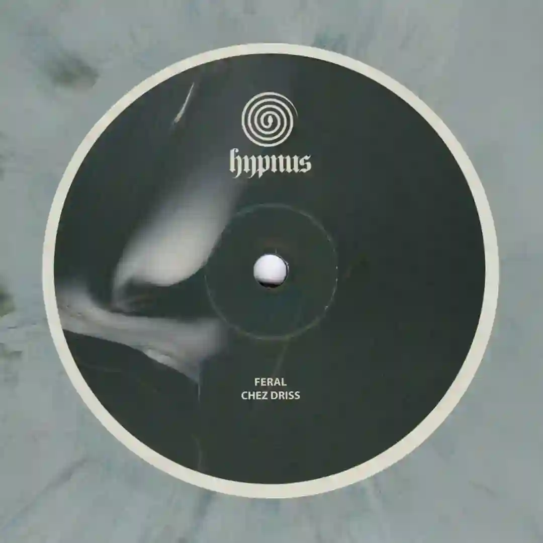 Taghazout cover