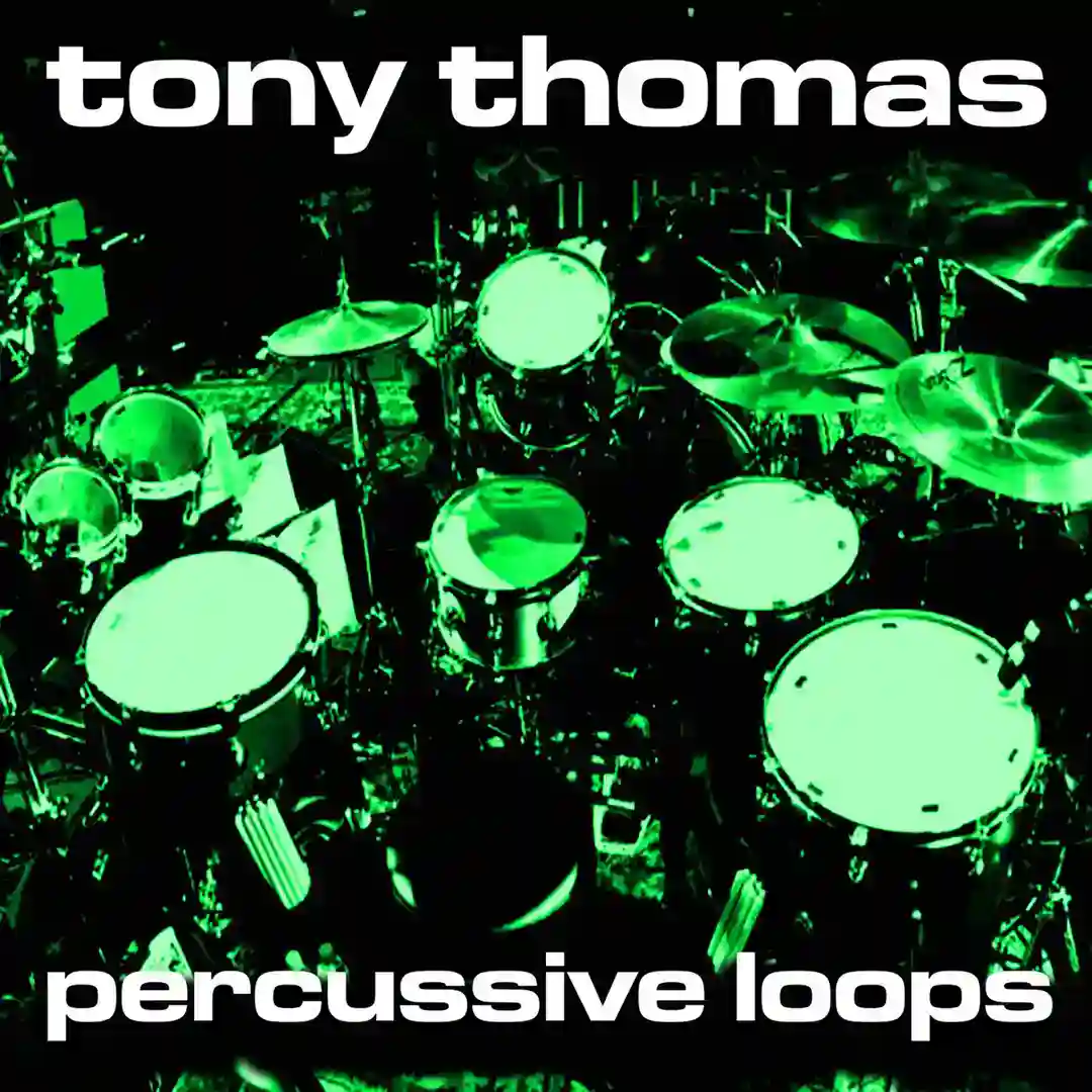 TT Perussive Loop 73 (Original Mix) cover