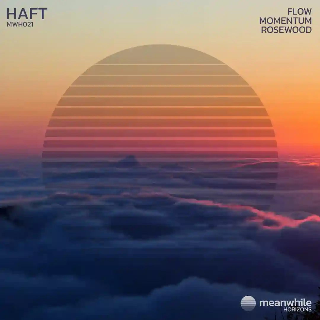 Flow (Original Mix) cover