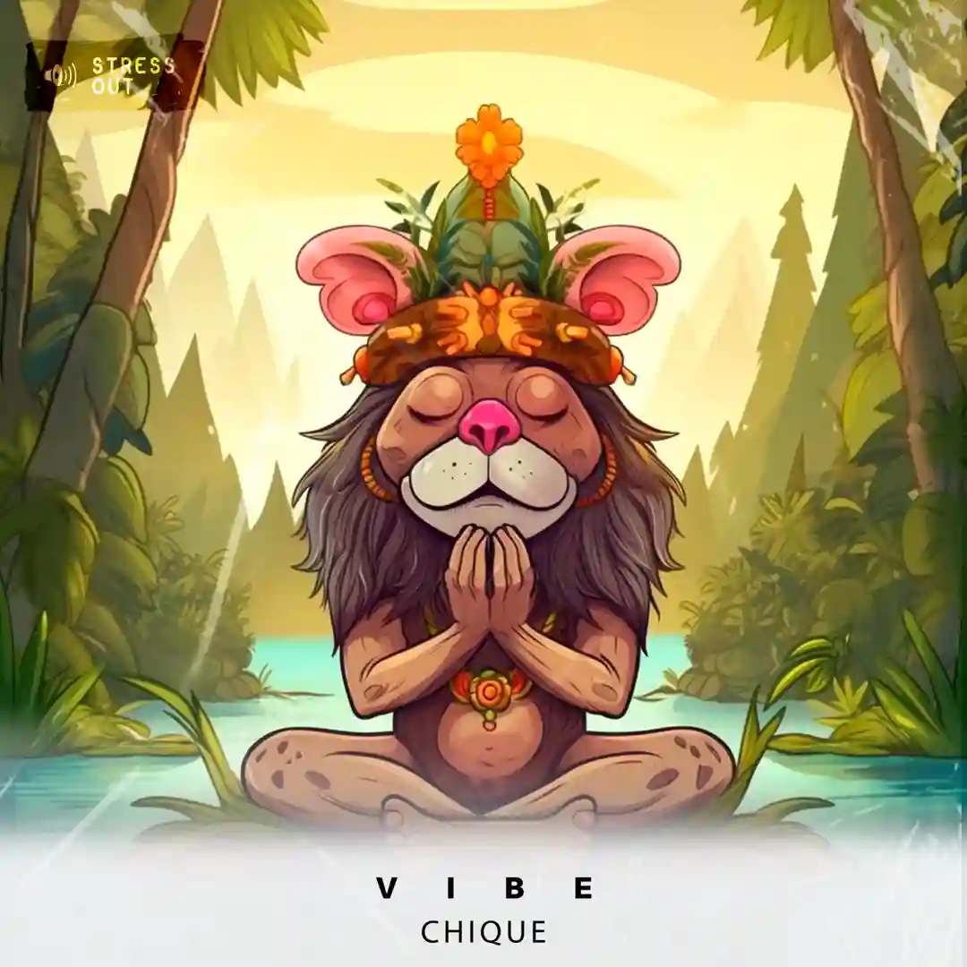 Vibe cover