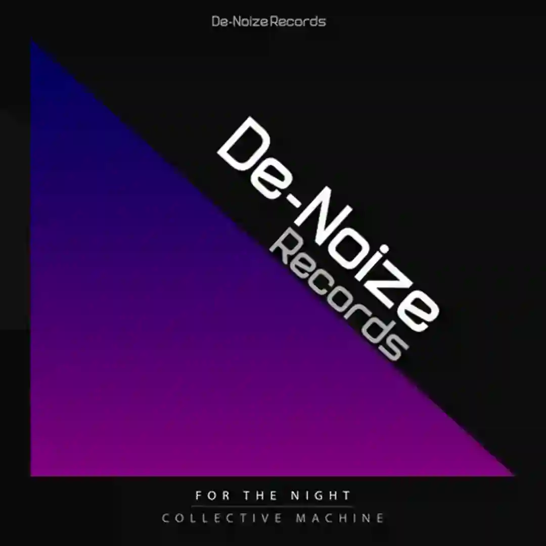 For The Night (Arno Stolz Remix) cover