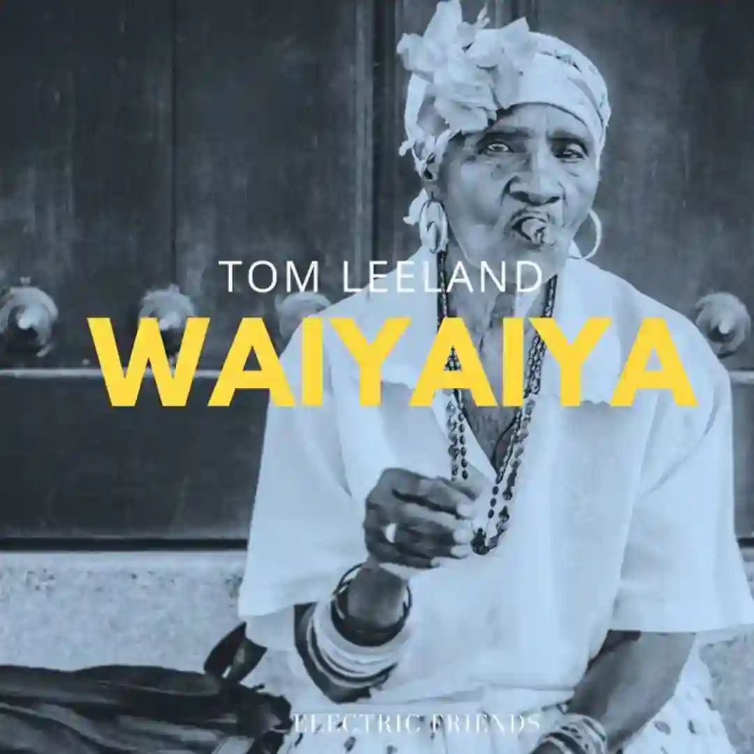 WAIYAIYA (Original Mix) cover