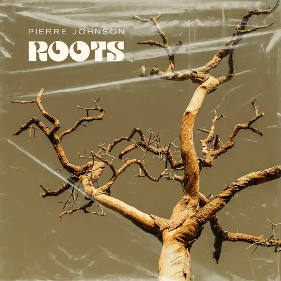 Roots (Original Mix) cover