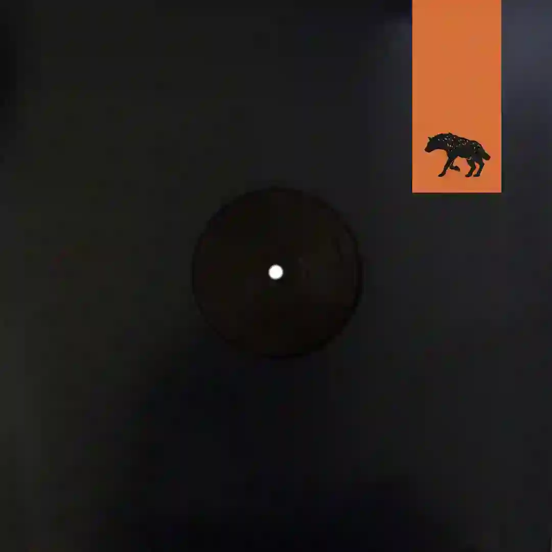 Ravin (Original Mix) cover