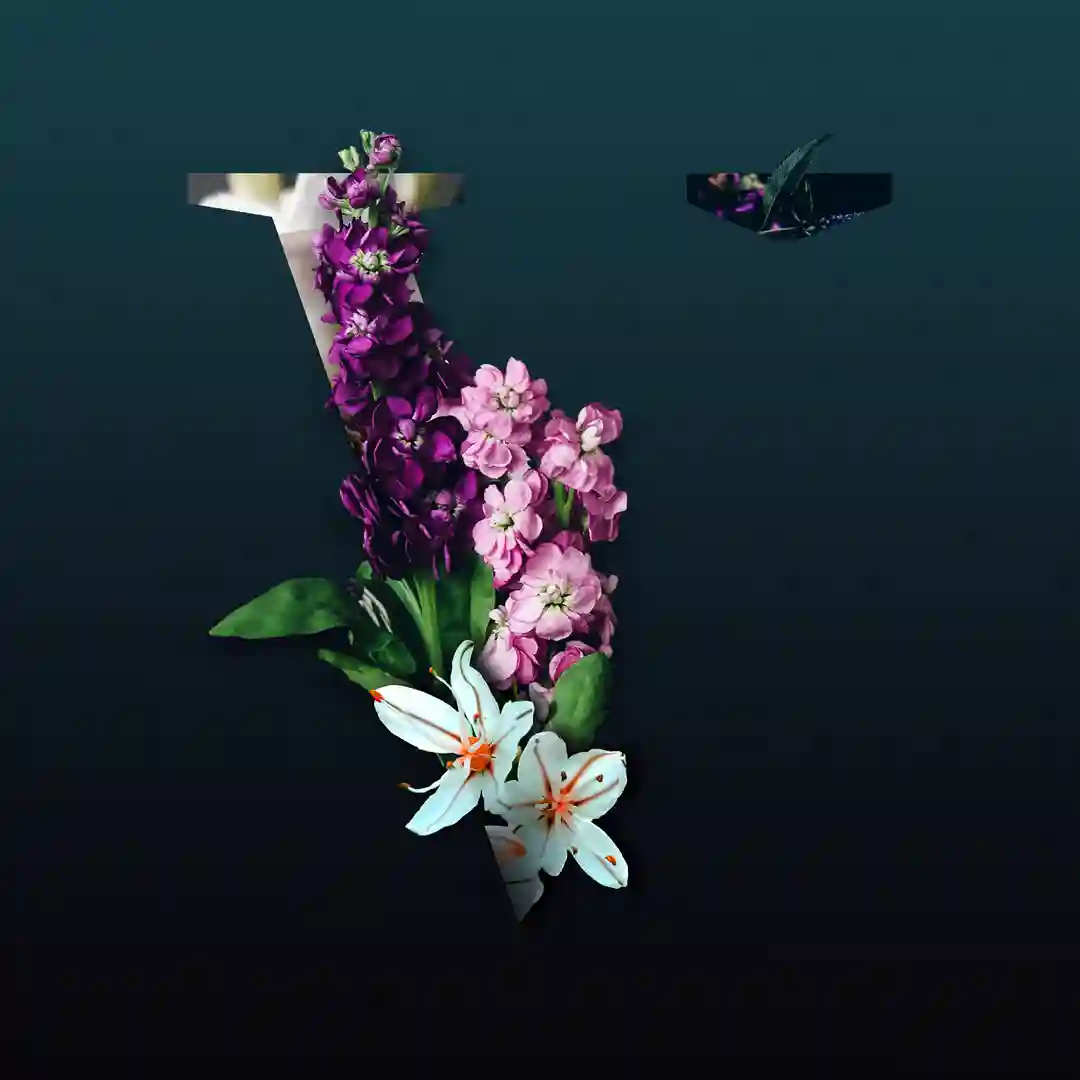 Run (Sultan + Shepard Remix) cover