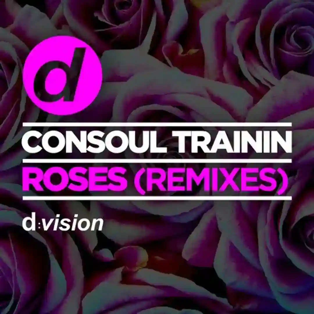 Roses (Saccao Remix) cover