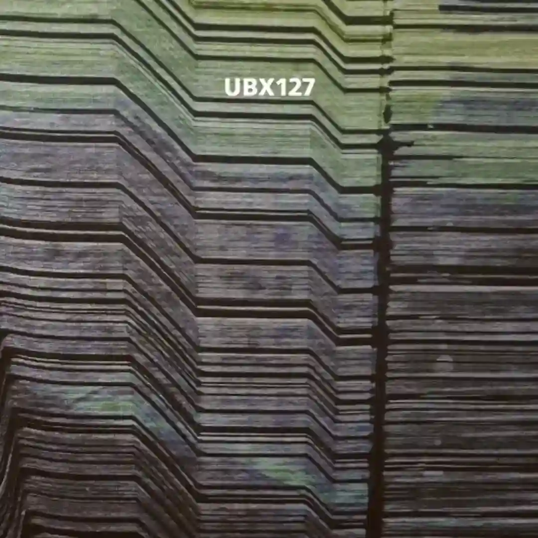 Constant Permutation (Part 2) cover