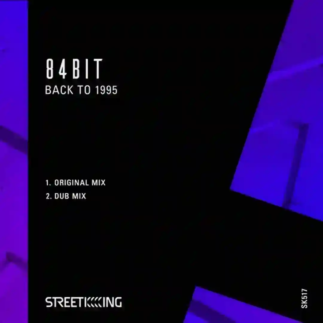 Back To 1995 (Dub Mix) cover