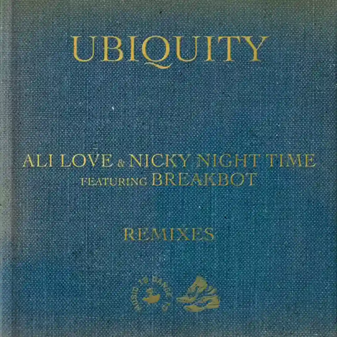 Ubiquity feat. Breakbot (Happiness is Wealth Disco Mix) cover