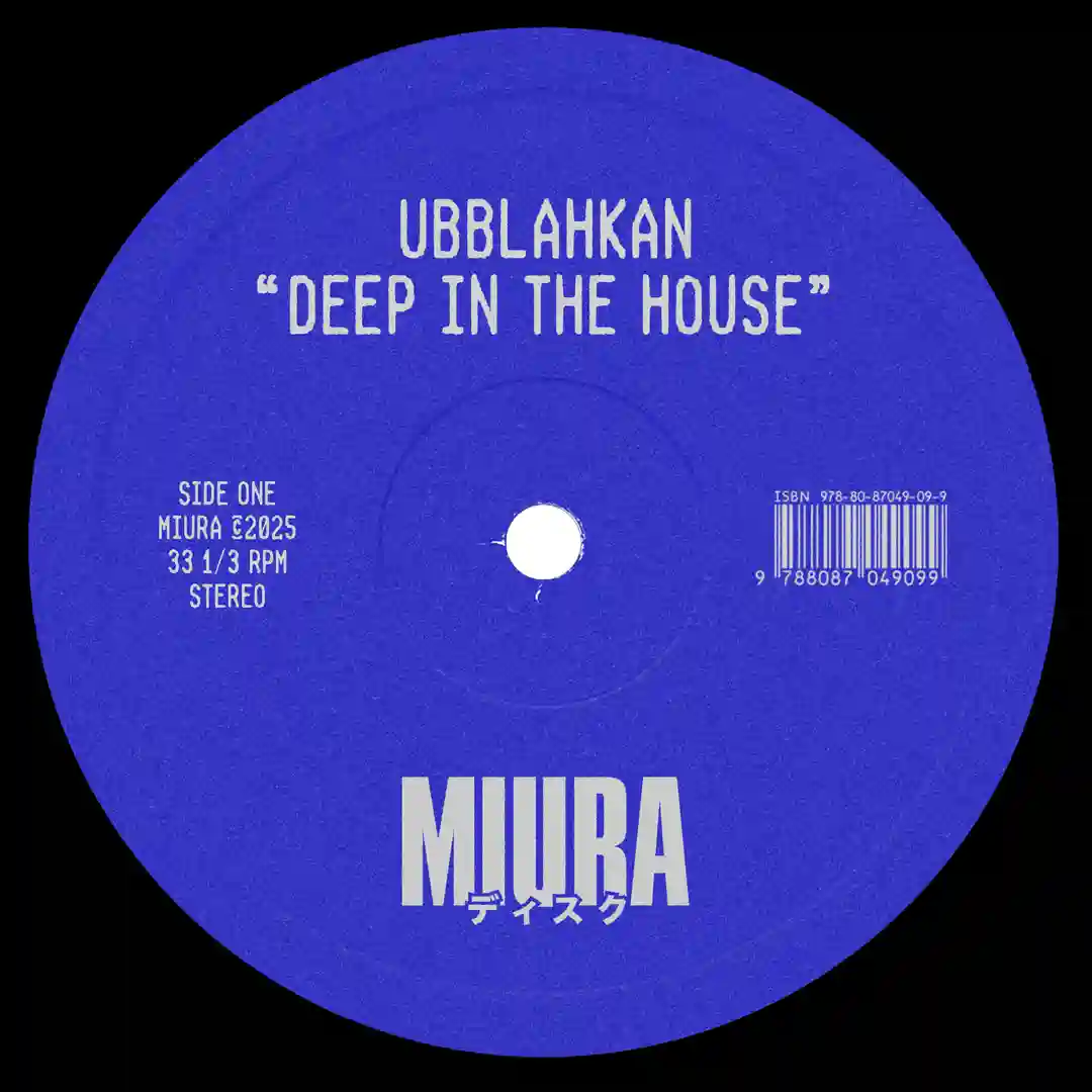 Deep In The House (Original Mix) cover
