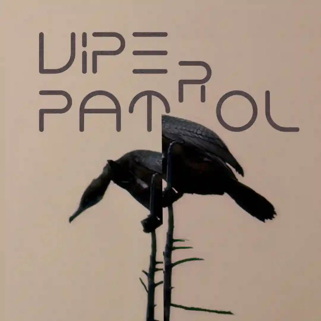 Paranoid (Original Mix) cover