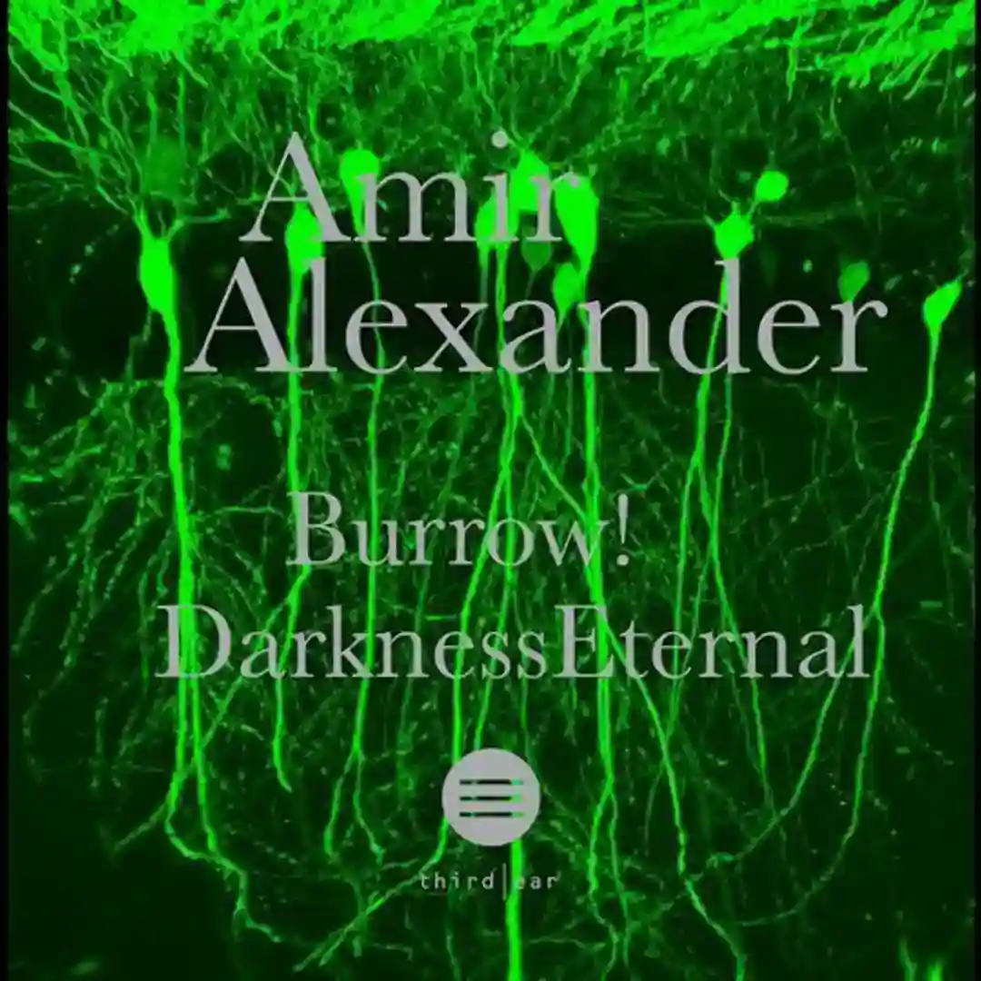 Burrow / Darkness Eternal cover