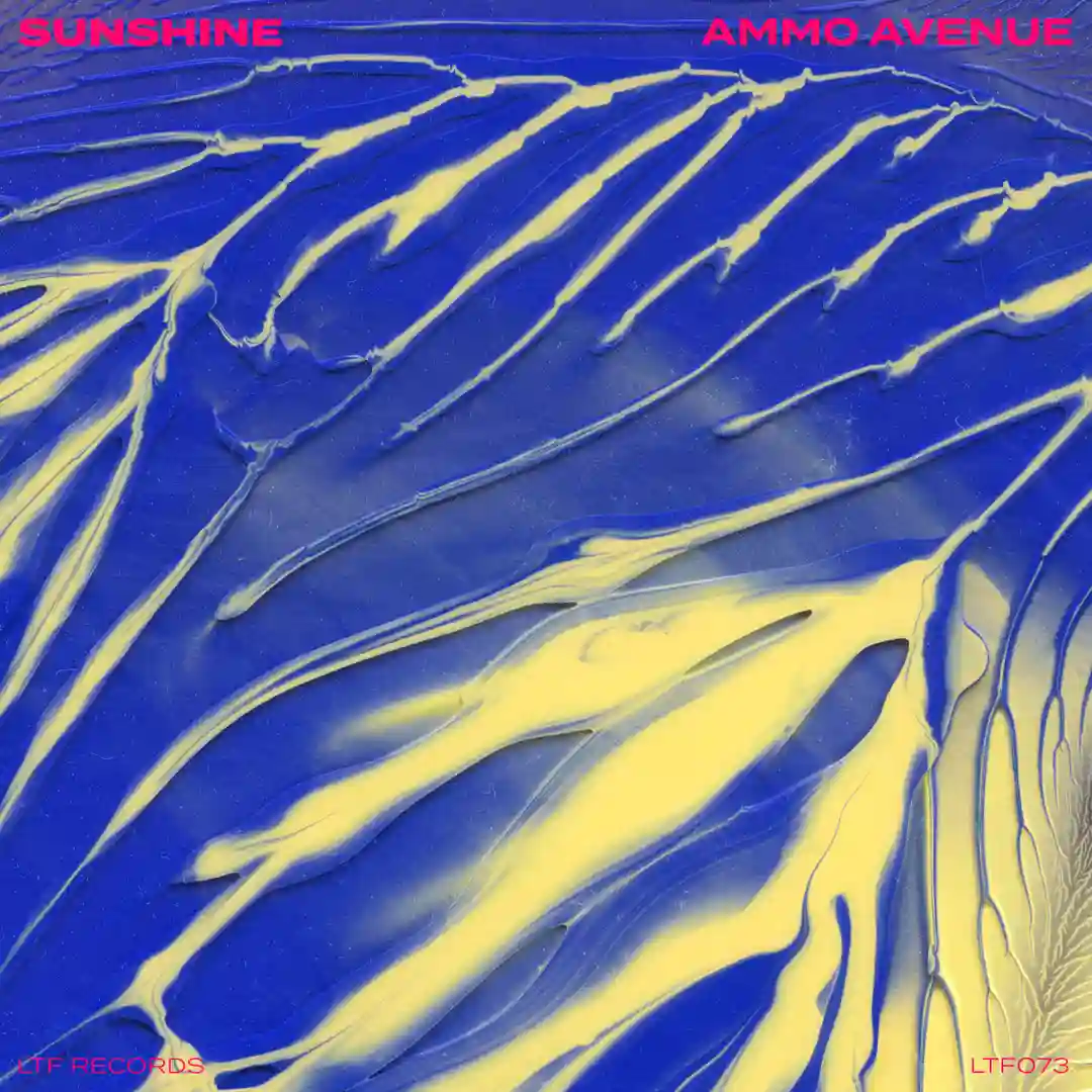 Sunshine (Extended Mix) cover